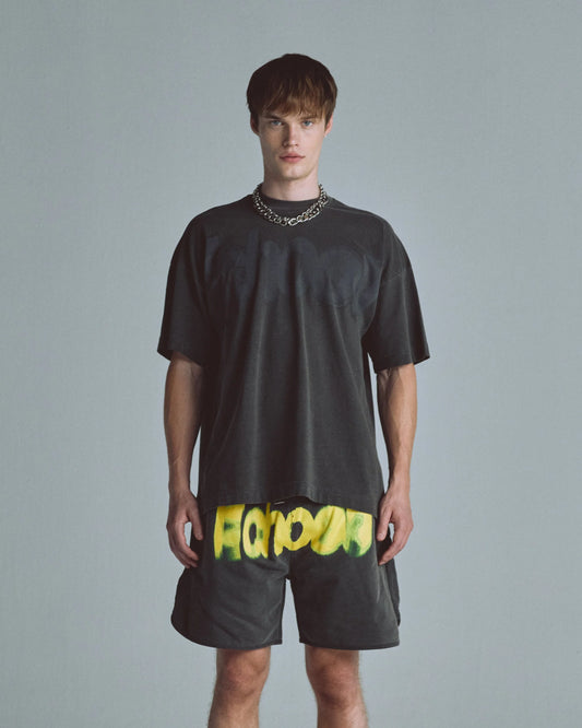 Echoes Echo Tshirt Old Washed Gray