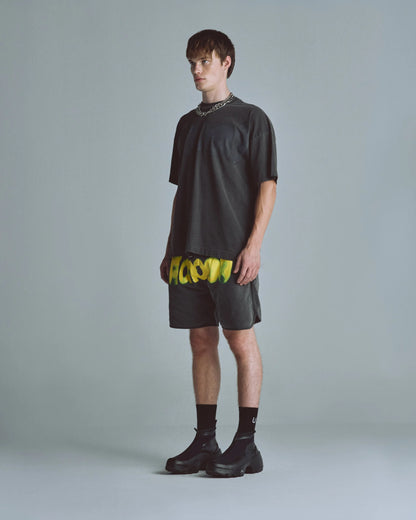 Echoes Echo Tshirt Old Washed Gray